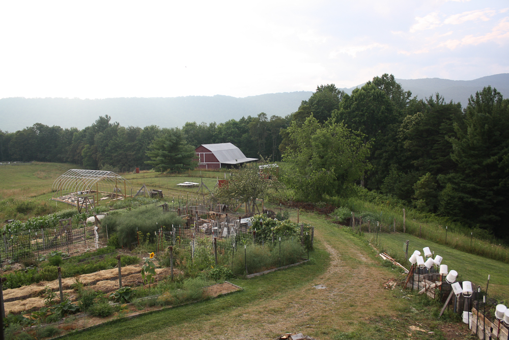 Bethlehem Farm (6)