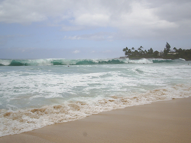 I saw a whale at this beach!