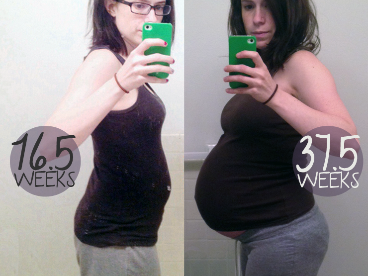 16.5vs37