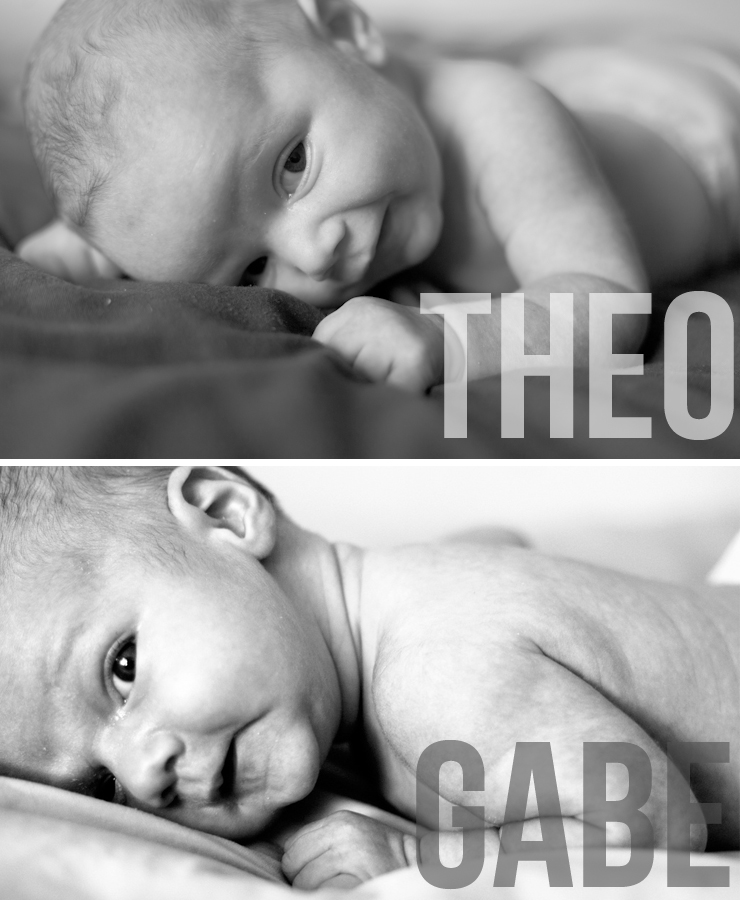 Theo-Gabe