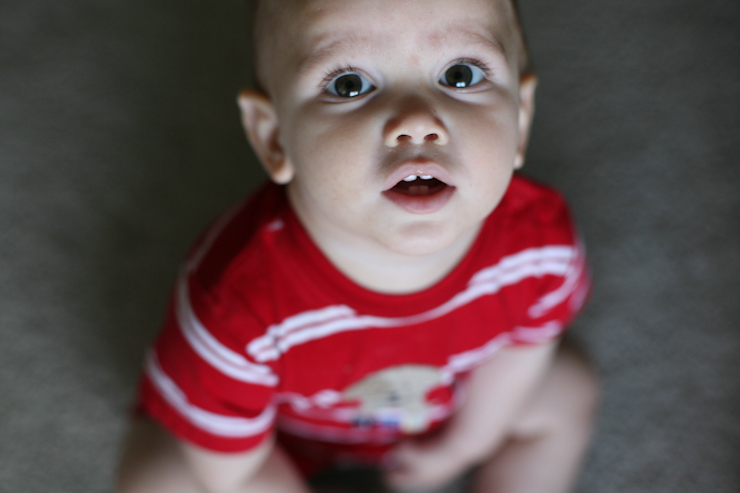 THEO-10-MOS (5 of 6)