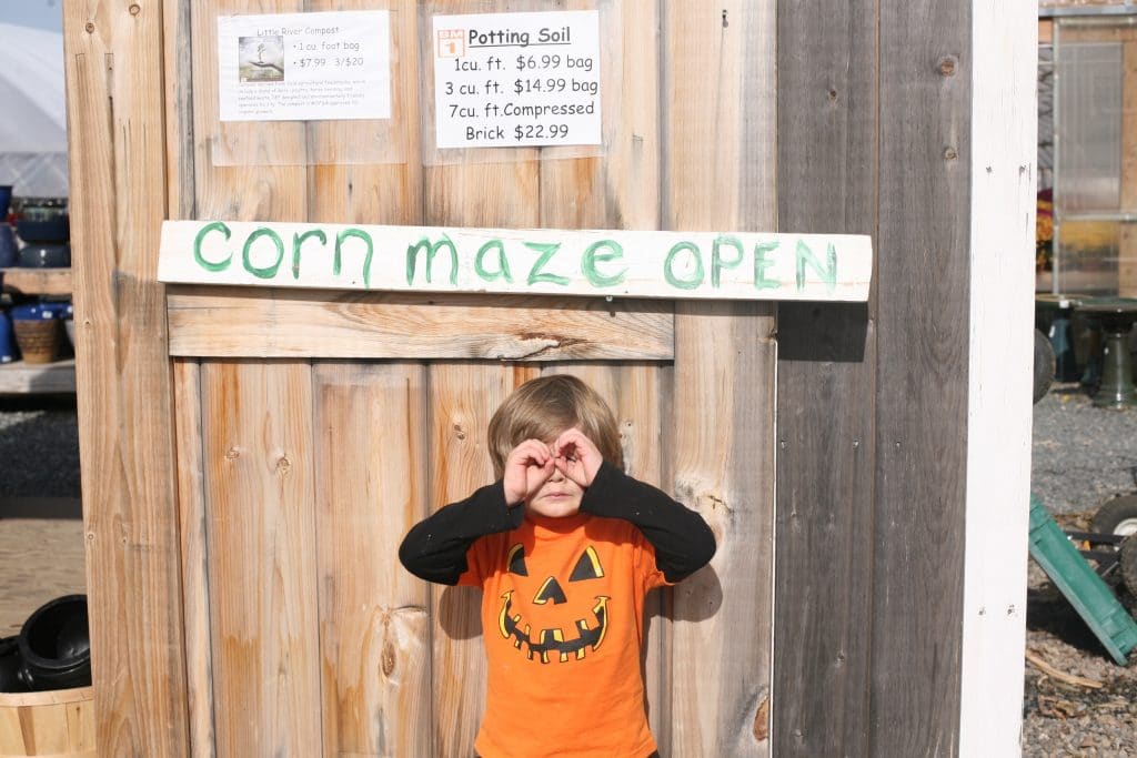 gabe-big-kid-cornmaze