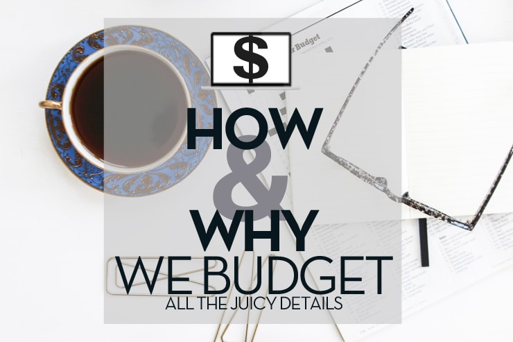 how-why-we-budget