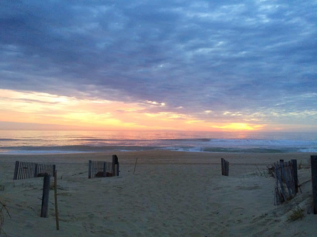 march-obx